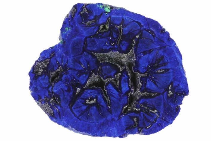 Vivid Blue, Cut/Polished Azurite Nodule - Siberia #94566